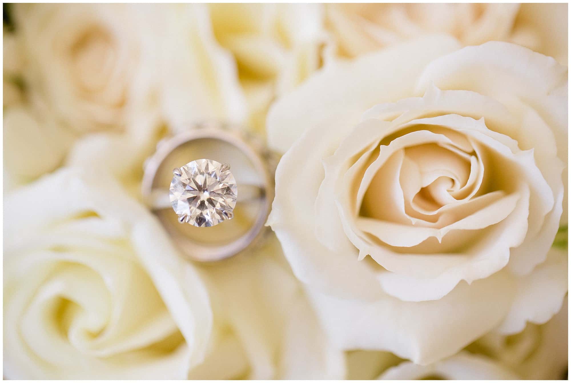 cabo-wedding-photographer-sara-richardson-photography